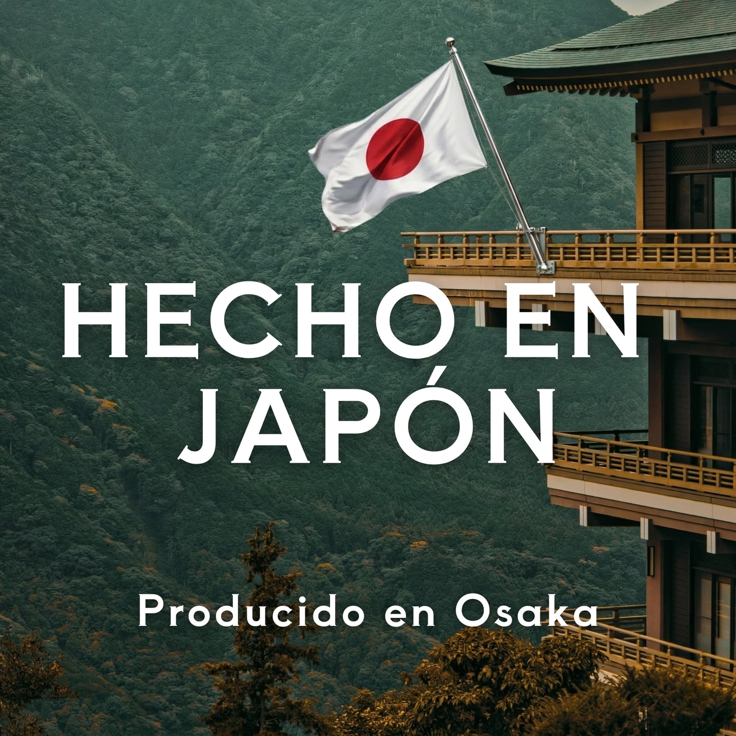 Afilador de Cuchillos Hasaki